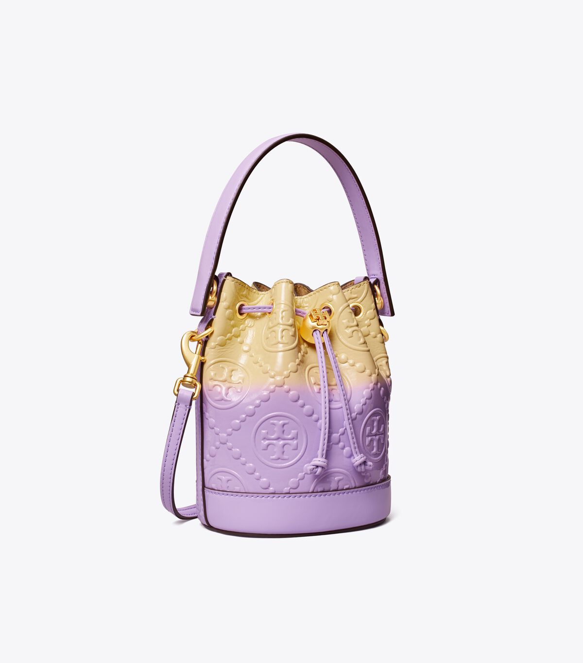 Mini T Monogram Dip-Dye Bucket Bag