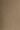 tory burch wild mushroom