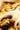 tory burch tory gold   black
