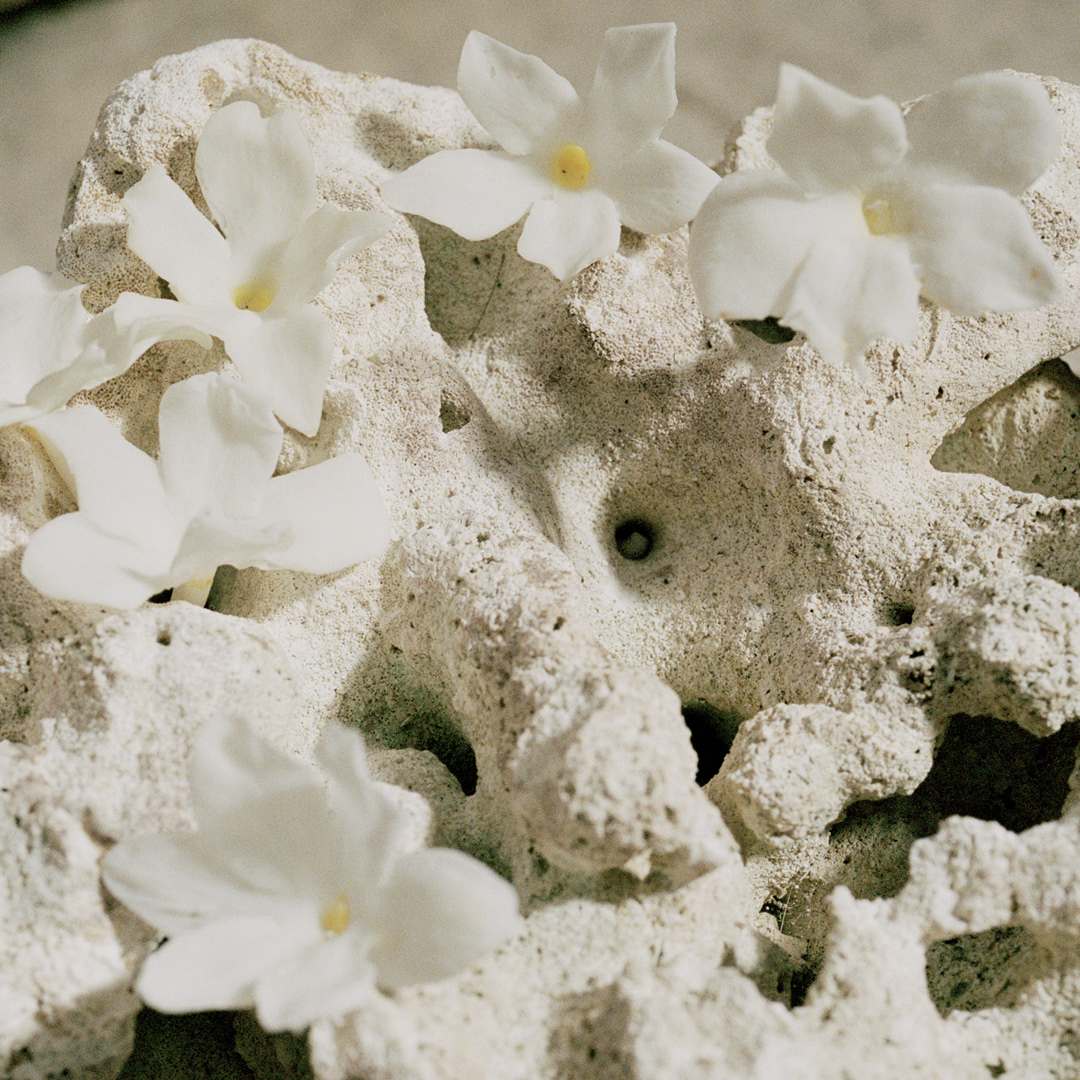 Jasmine and ylang ylang
